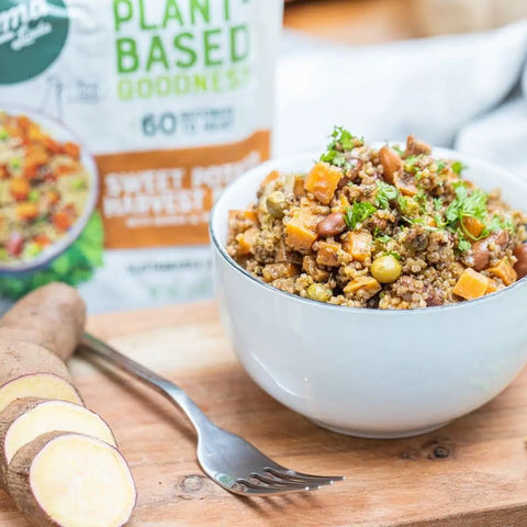 Sweet Potato Harvest Bowl served with quinoa, pinto beans, and fresh herbs, vegan meal